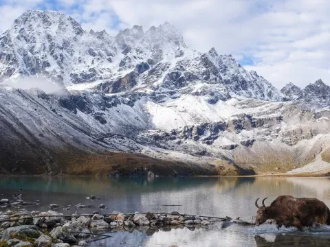 Nepal