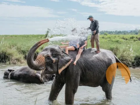 Chitwan Jungle Safari Tour