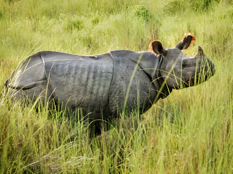 Bardiya National Park Tour