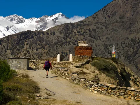 Mustang Trek