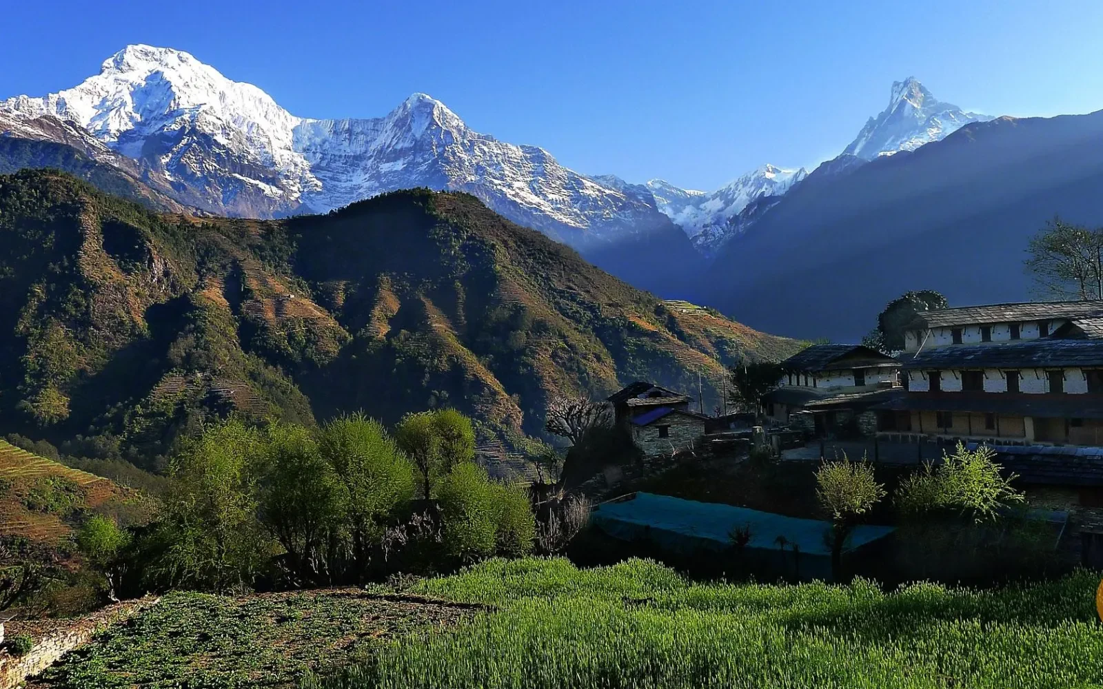 Foreign tourists arriving in Nepal