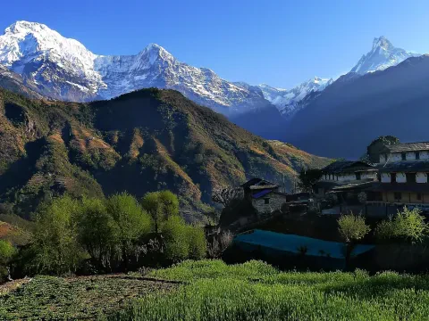 Foreign tourists arriving in Nepal