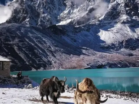Gokyo Lake Budget Trek