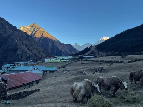 Dole village