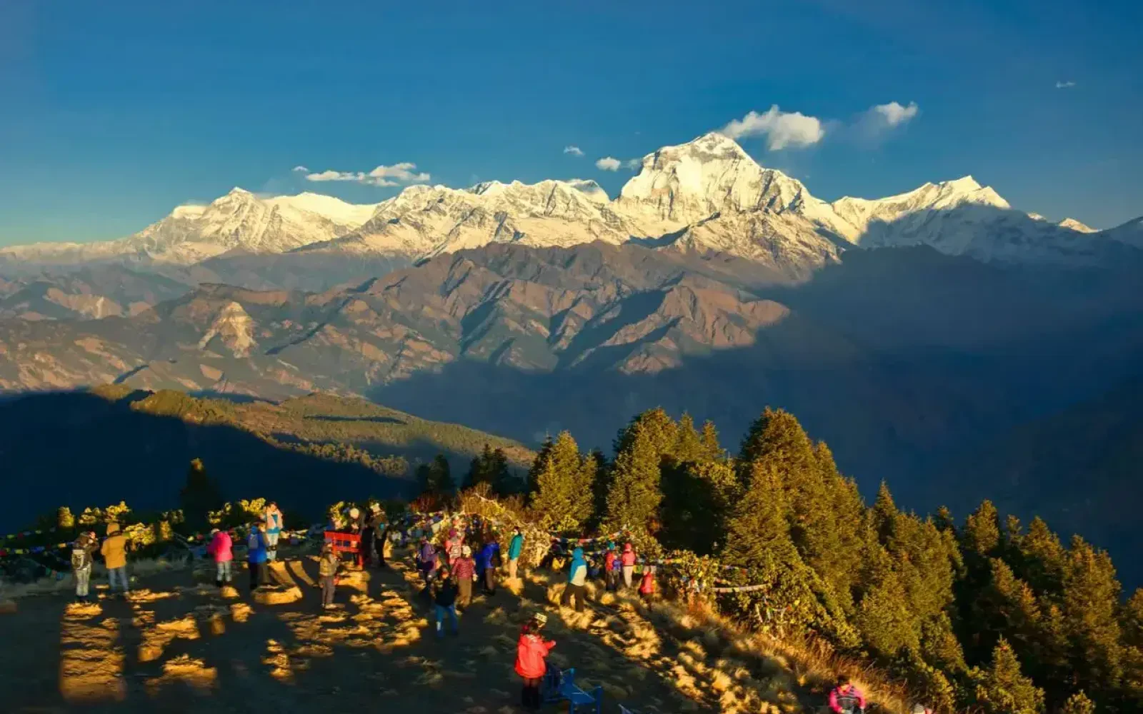 Top Reasons to Trek Ghorepani Poon Hill