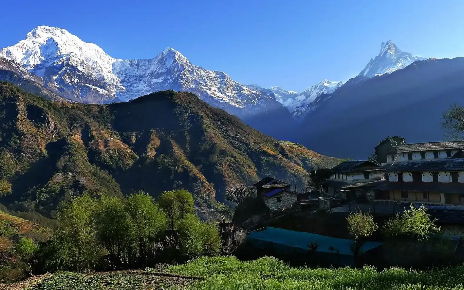 Going Solo: Annapurna Base Camp Trek Tips & Experiences