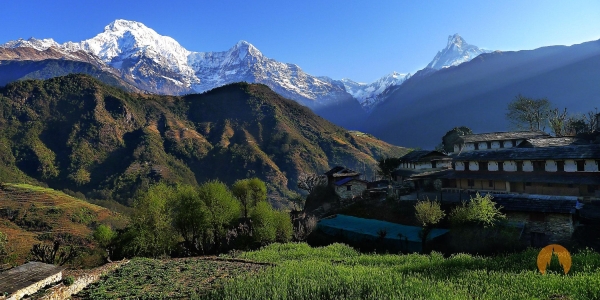 Foreign tourists arriving in Nepal